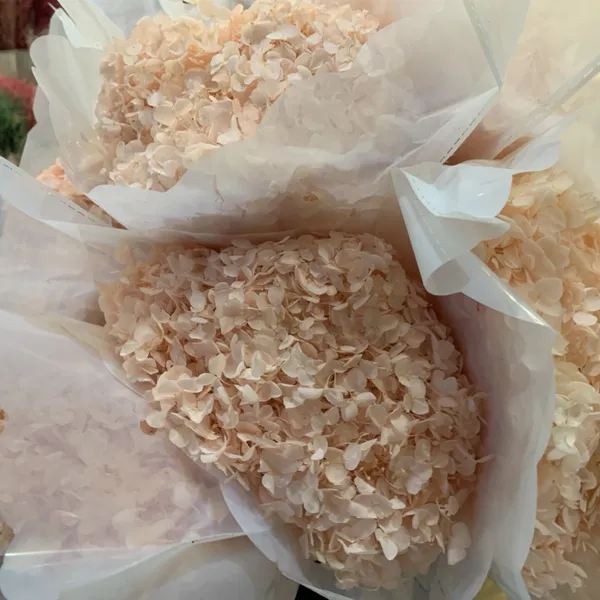 CẨM TÚ CẦU