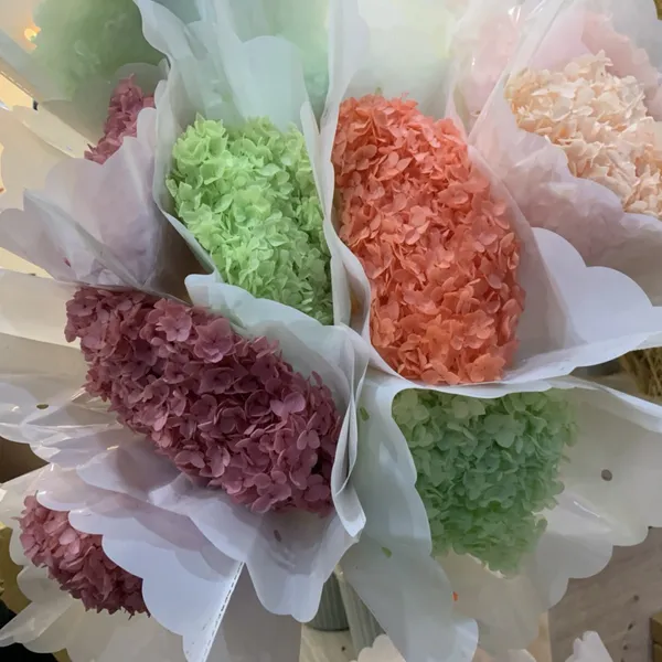 CẨM TÚ CẦU