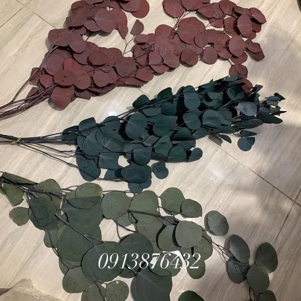 Dried elephant ear leaves