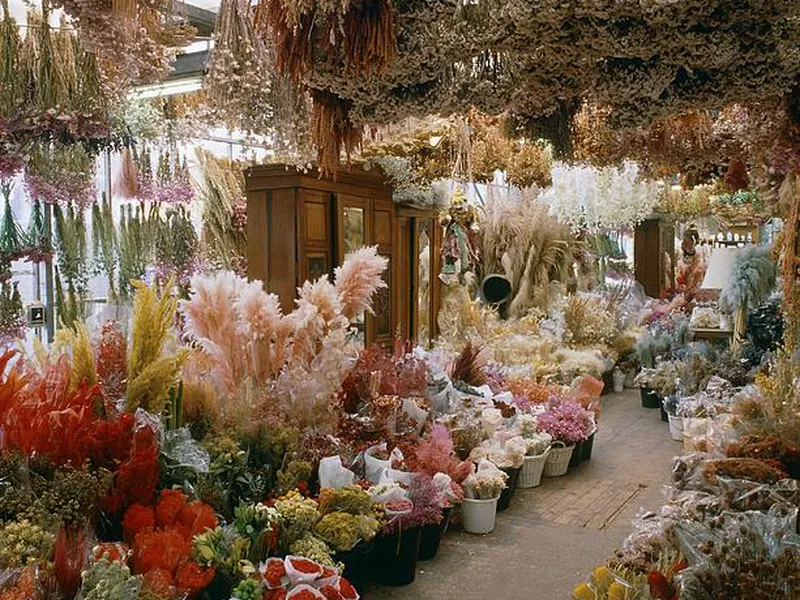 Hoa Khô Quận Bình Tân – Điểm Đến Cho Tín Đồ Decor Và Handmade