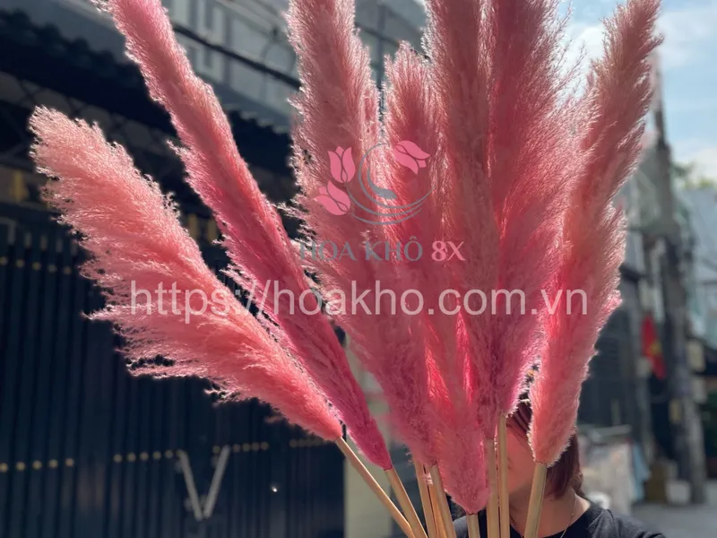 Mua Cẩm Tú Cầu Khô Giá Sỉ và Hoa Khô Giá Rẻ Ở Đâu?