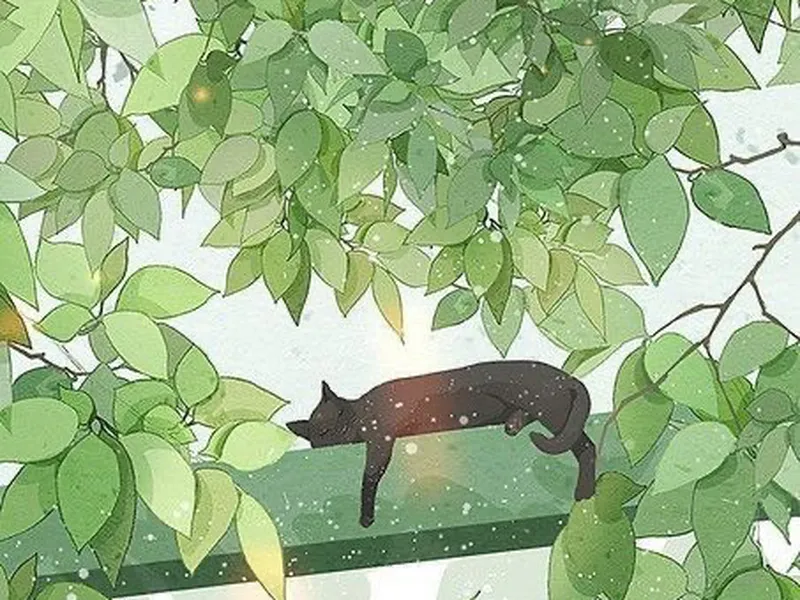 Tử Vi Tuần Mới Từ Ngày 28/10 Đến 3/11 Của 12 Con Giáp Chi Tiết