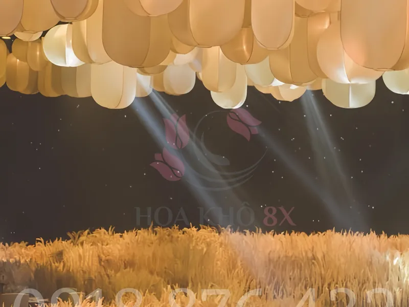 Lúa Decor Là Gì? Lúa Trang Trí Là Loại Lúa Khô Nào?