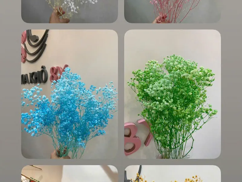 Những Địa Chỉ Mua Hoa Khô Uy Tín Tại TP.HCM – Gợi Ý Cho Người Yêu Decor