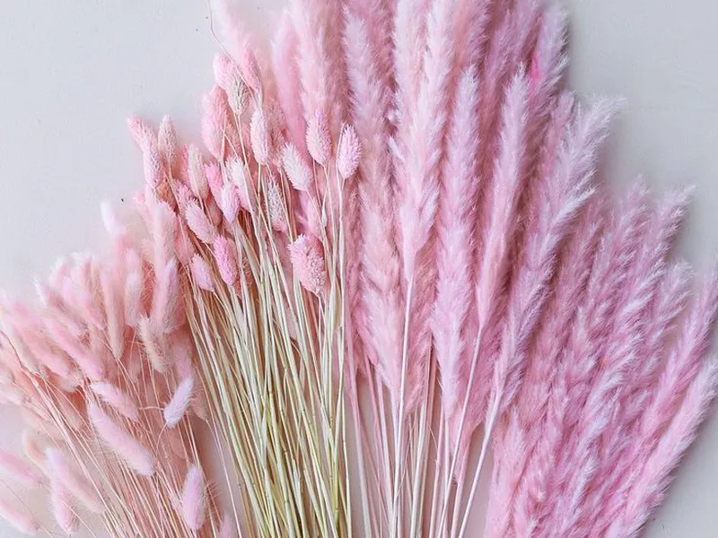 Hoa Khô Tone Pastel – Vẻ Đẹp Nhẹ Nhàng Cho Không Gian Thanh Lịch