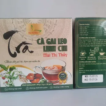 Trà Cà Gai Leo Linh Chi Mai Thị Thủy 