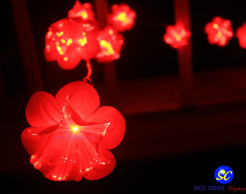 Dây Đèn LED Hoa Đỏ Dây Đèn LED Hoa Đỏ