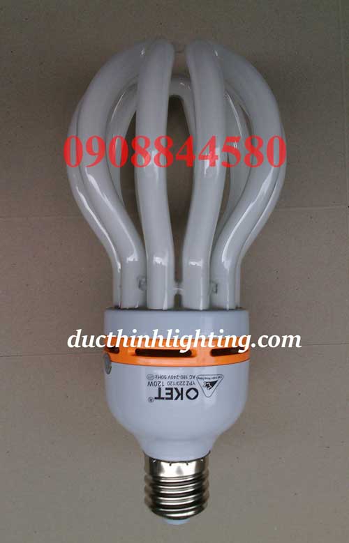 Bóng Đèn Compact Oket Trái Khế Bóng Đèn Compact Oket Trái Khế