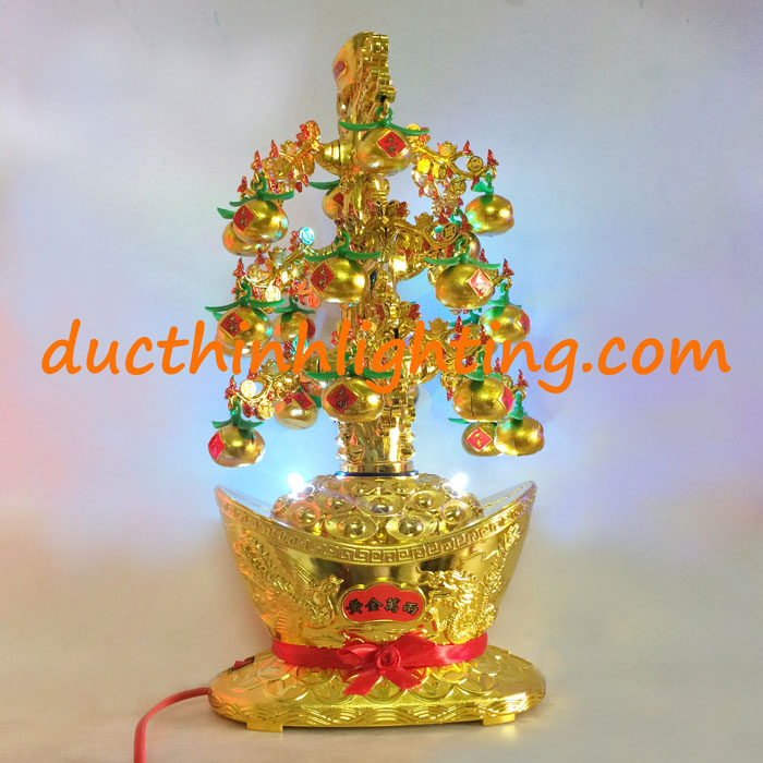 Cây Quất Vàng Trang Trí Ngày Tết Cây Quất Vàng Trang Trí Ngày Tết