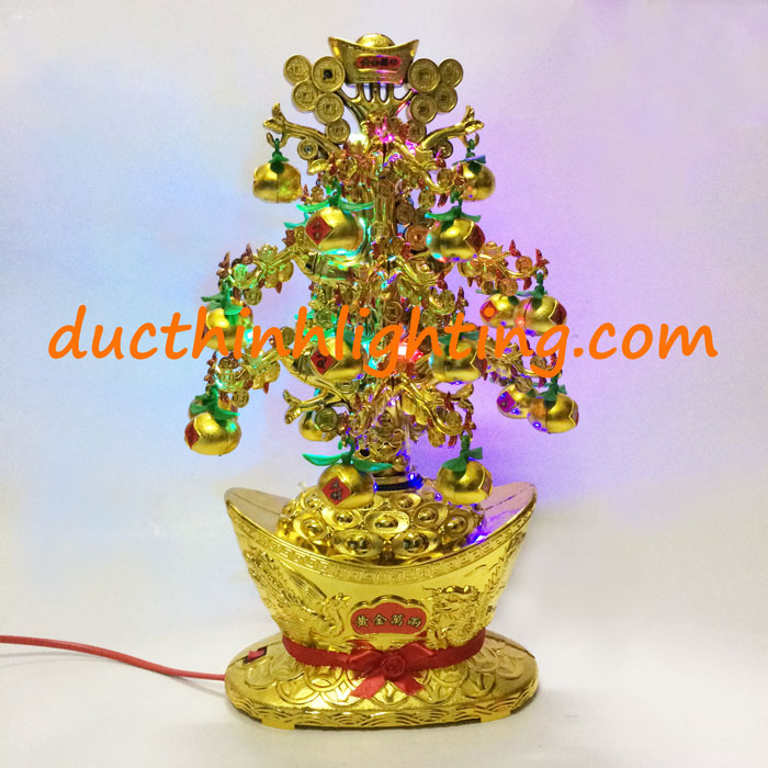 Cây Quất Vàng Trang Trí Ngày Tết Cây Quất Vàng Trang Trí Ngày Tết