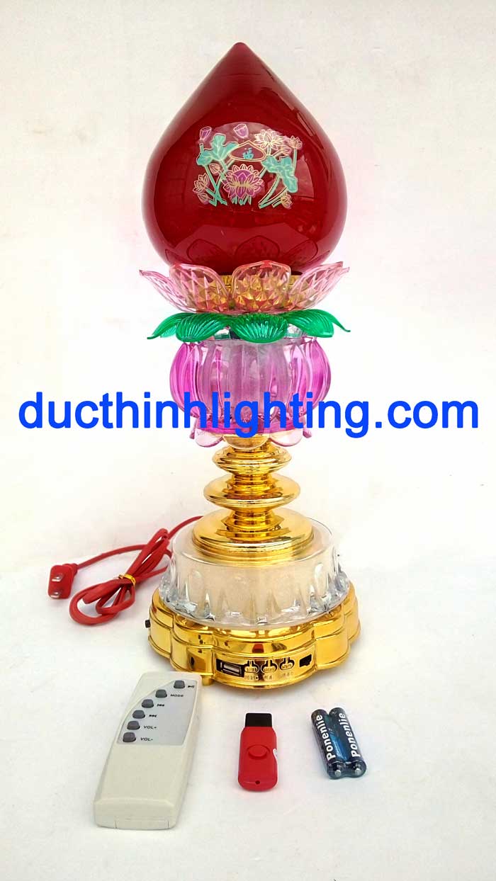 Đào 11 ( Đào Cầu Phước ) Đào 11 ( Đào Cầu Phước )