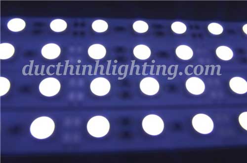 Đèn LED Thanh 5050 Đèn LED Thanh 5050