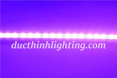 Đèn LED Thanh 5050 Đủ Màu Đèn LED Thanh 5050 Đủ Màu