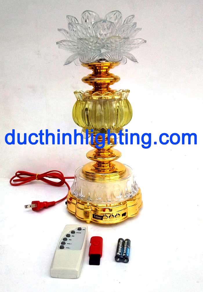 Sen 19 ( Sen Thịnh Vượng ) Sen 19 ( Sen Thịnh Vượng )