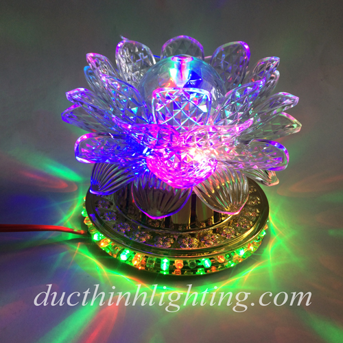 Sen Xoay Dĩa 1  Sen Xoay Dĩa 1