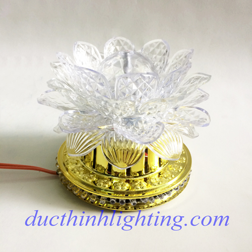 Sen Xoay Dĩa 1  Sen Xoay Dĩa 1