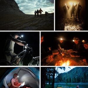 lua-chon-den-pin-cho-dan-phuot