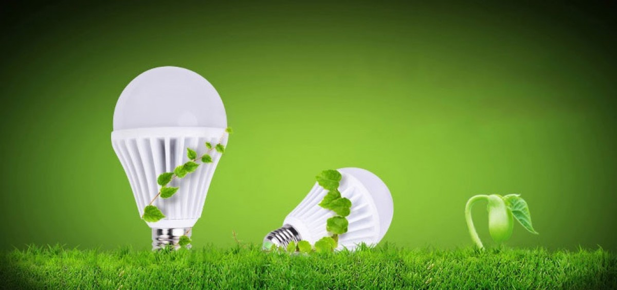 nen-su-dung-bong-den-led-hay-bong-den-compact