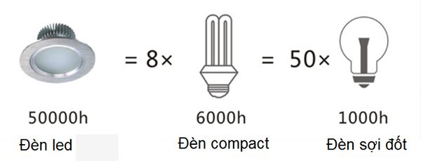 nen-su-dung-bong-den-led-hay-bong-den-compact