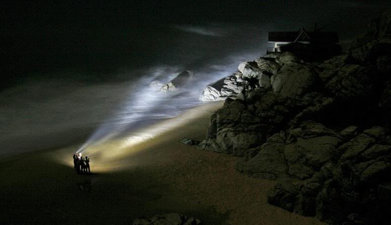 su-phat-trien-cua-den-pin-sieu-sang