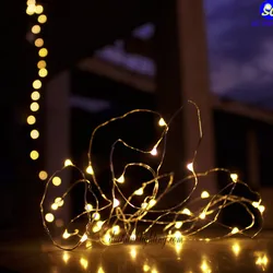 Dây Đèn Fairy Lights 2m Vàng Nắng