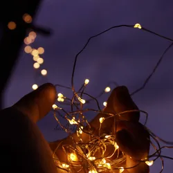 Dây Đèn Đom Đóm 2m 