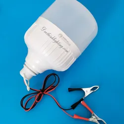 Bóng Đèn LED Trụ Kẹp Bình 12V 24W 