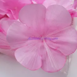 Dây Đèn LED Hoa Hồng 