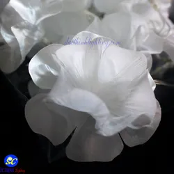 Dây Đèn LED Hoa Trắng 