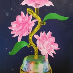 Đèn Sen LED Đổi Màu USB Số 18 