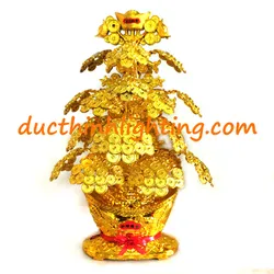 Cây Đồng Tiền Vàng Trang Trí Ngày Tết