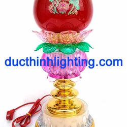 Đào 11 ( Đào Cầu Phước )