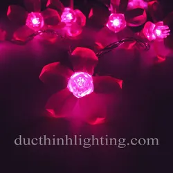 Dây Đèn LED Hoa Đào