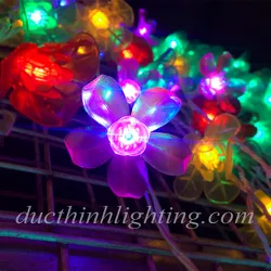 Dây Đèn LED Hoa Đủ Màu