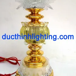 Sen 19 ( Sen Thịnh Vượng )