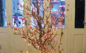 Trang trí cây mai, cây đào bằng đèn Led dây hiện đại