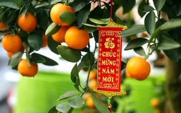 Các loại đèn LED dây và cách trang trí đèn này đón Tết Tân Sửu 2021