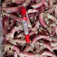Mực Muối - Mực Trứng Muối