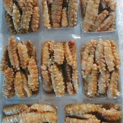 Hải Sâm Gai (Tươi)