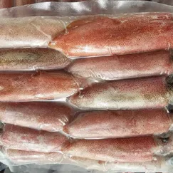 Mực Ống Trứng (Tươi)