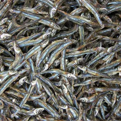 Cá Cơm Khô Sọc Đen