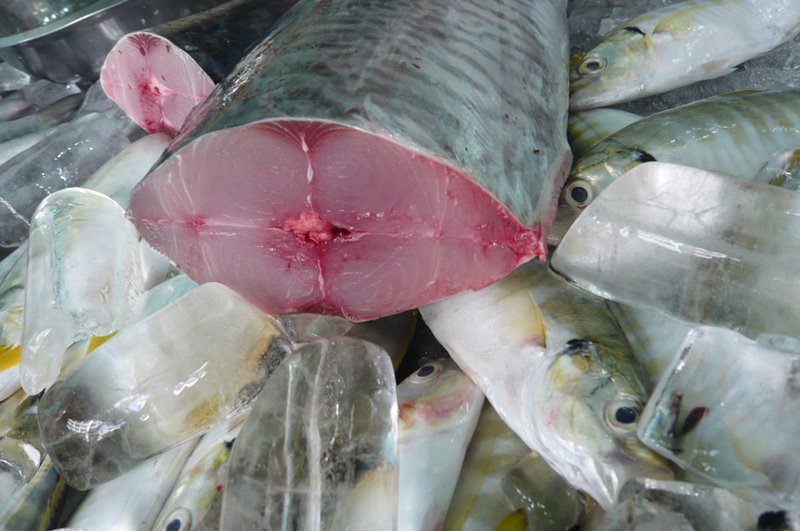 Cá Thu Câu Phan Thiết - Hải Sản Sạch Hải Tuấn