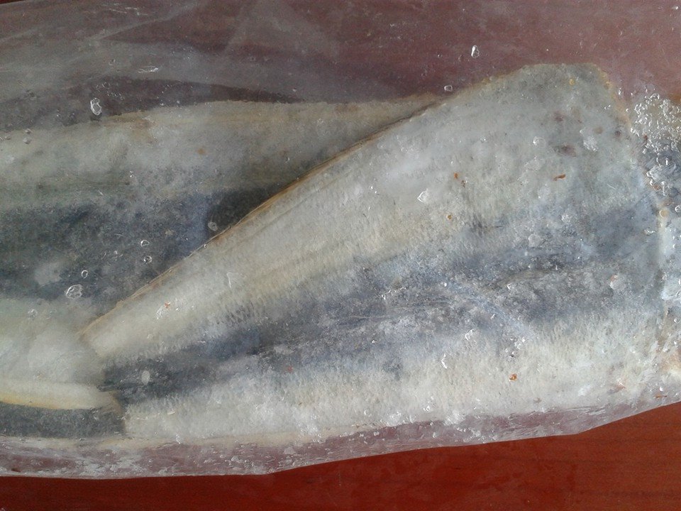 Cá Rựa 2 Nắng | Cung Cấp Cá Rựa 2 Nắng | Hải Sản Khô 1 Nắng Phan Thiết