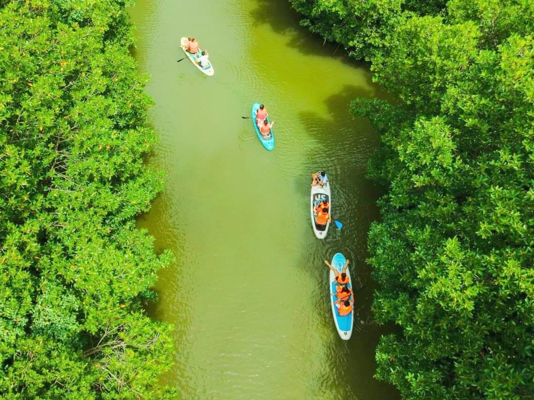 tour quy nhơn