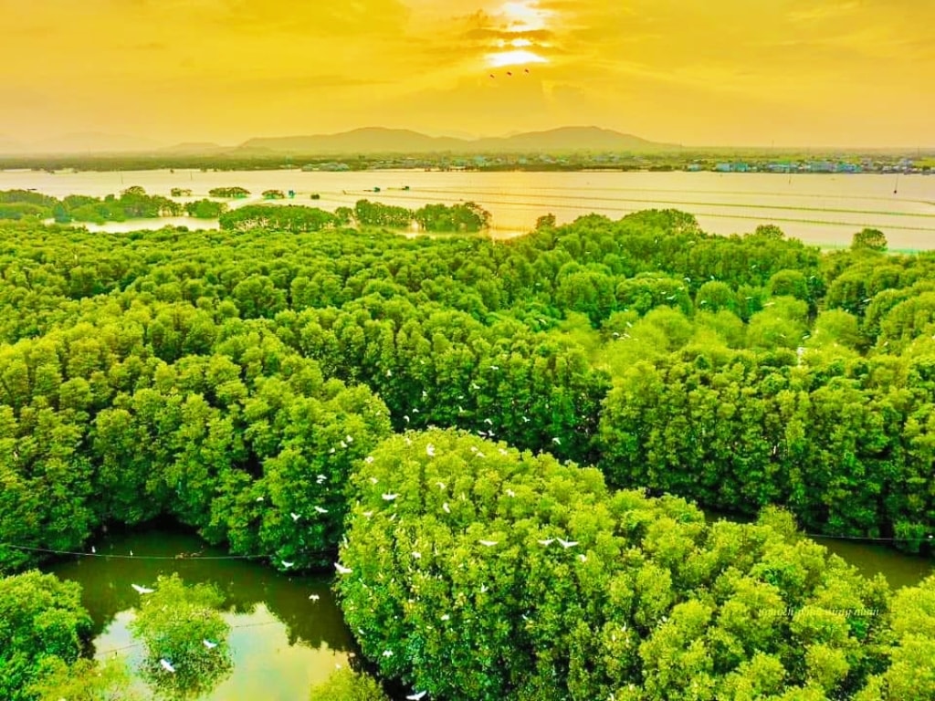 tour quy nhơn