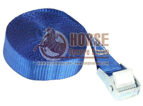 dây chằng hàng khóa cam dây chằng hàng khóa cam