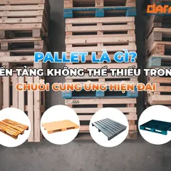 Pallet là gì? Đặc điểm, loại hình và ứng dụng trong công nghiệp