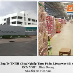 Trải nghiệm kho hàng sử dụng lưới ràng pallet của công ty Liwayway