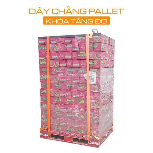 Dây Chằng Hàng Pallet Khóa Tăng Đơ