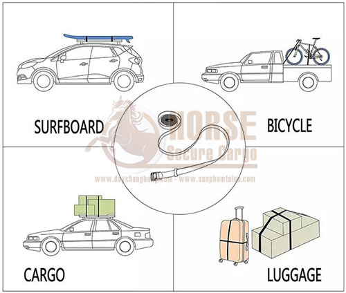 công dụng của dây chằng khóa cam  công dụng của dây chằng khóa cam